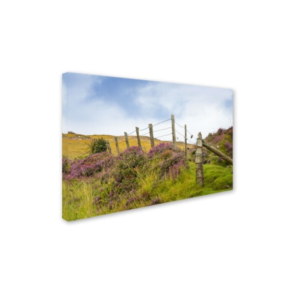 Philippe Sainte-Laudy 'Fence Heather' Canvas Art,12x19